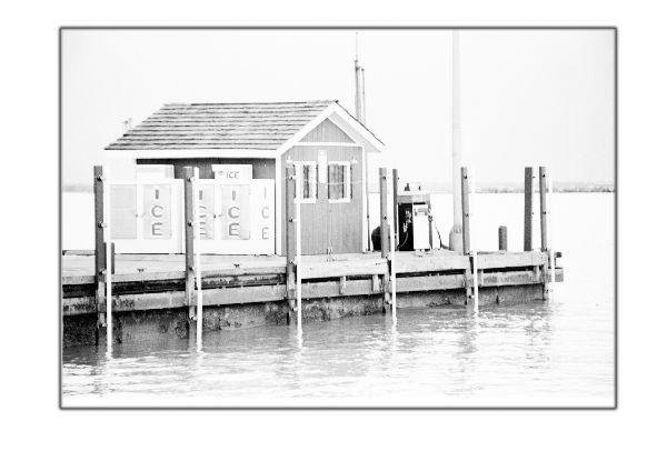 ICE, USA by Cambridge Jones
