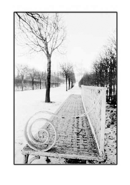 St Petersburg Bench by Cambridge Jones